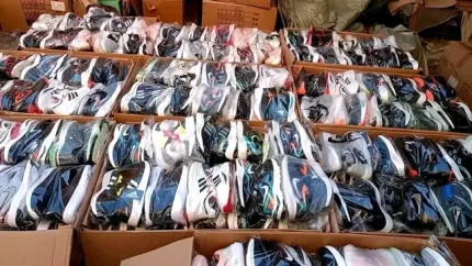 Authentic Mixed Sports Shoes Pallet
